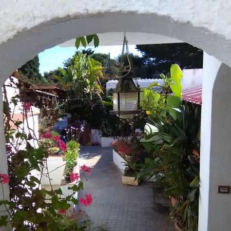 Le Case Di Vito Ilha de Ilha de Favignana Exterior foto