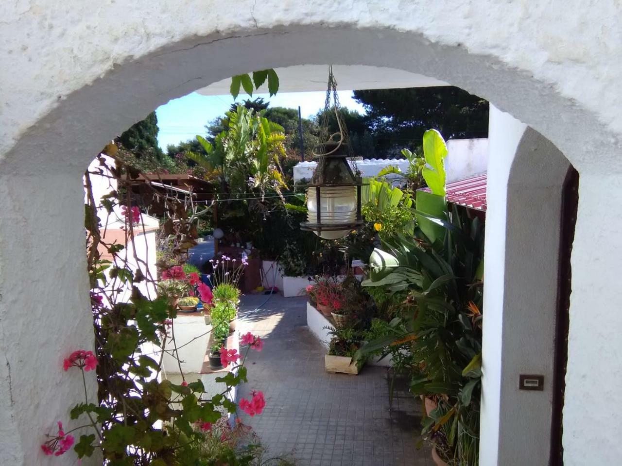 Le Case Di Vito Ilha de Ilha de Favignana Exterior foto